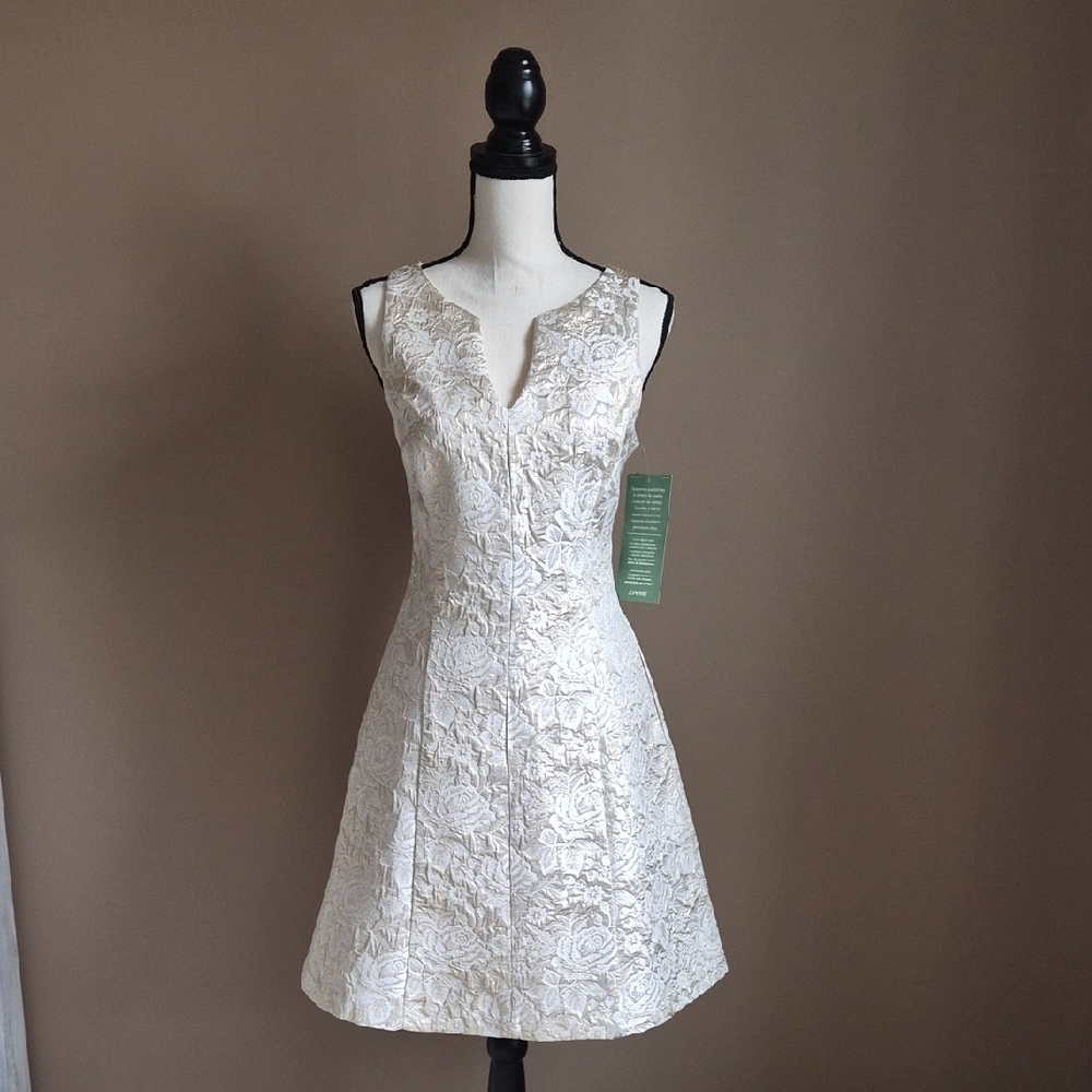Cream & Gold Puffy Flora Patern Mini Dress